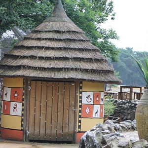 House African style