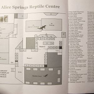 Alice Springs Reptile Centre Map 2013