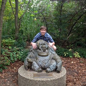 Oct. 2013 - The Old Man of the Forest... and not an old man