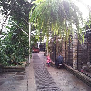 Pearson Park Conservatory, November 2013.