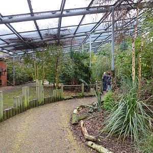 Walkthrough aviary, November 2013.