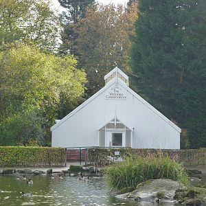 Pearson Park conservatory, November 2013.
