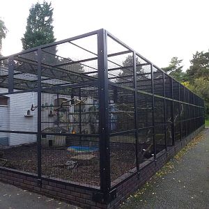 Pickering Park aviaries, November 2013.