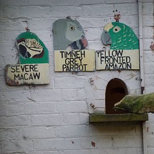 Signs, November 2013.