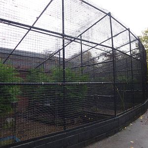 West Park aviaries, November 2013.