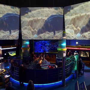 Deep blue one, November 2013.