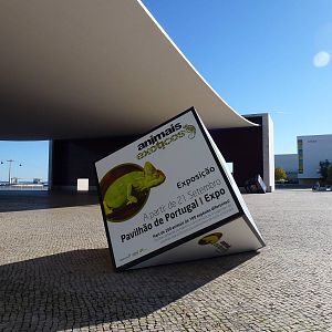 Animais exoticos at the Portugal Pavilion, November 2013.