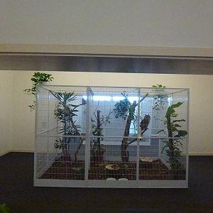 Animais exoticos - Owl aviaries, November 2013.