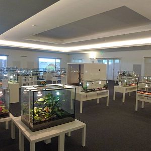 Animais exoticos - Reptile hall, November 2013.