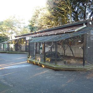 Bournemouth Gardens Aviary, December 2012.
