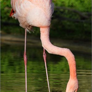 Saturday 23rd October 2013