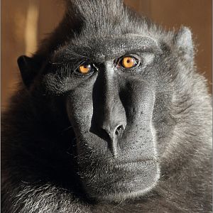 Saturday 23rd October 2013