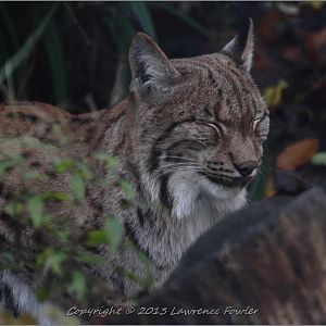 Saturday 23rd October 2013