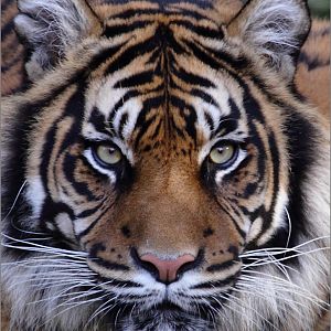 Saturday 23rd October 2013