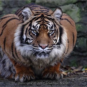 Saturday 23rd October 2013