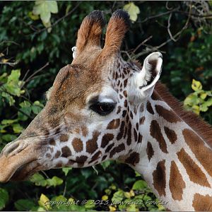 Saturday 23rd October 2013