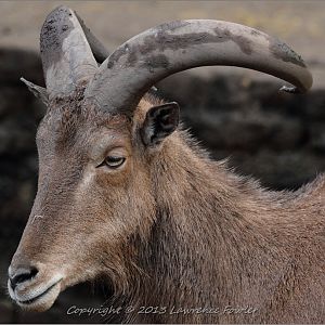 Saturday 23rd October 2013