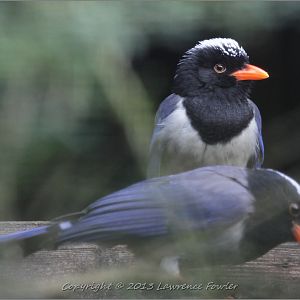 Saturday 23rd October 2013