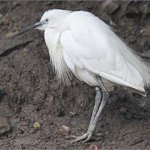 Saturday 23rd October 2013