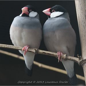 Saturday 23rd October 2013