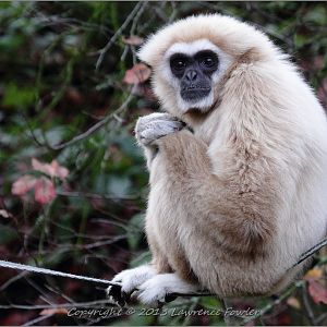 Saturday 23rd October 2013