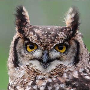 Saturday 23rd October 2013