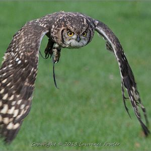 Saturday 23rd October 2013