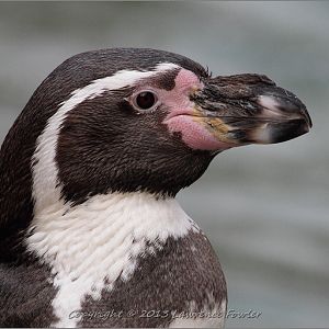 Saturday 23rd October 2013