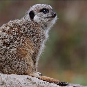 Saturday 23rd October 2013