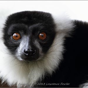 Saturday 23rd October 2013