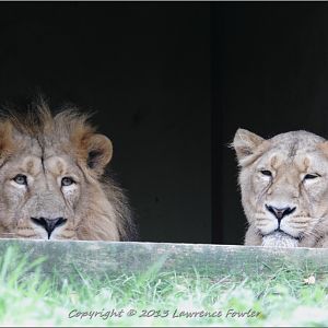 Saturday 23rd October 2013