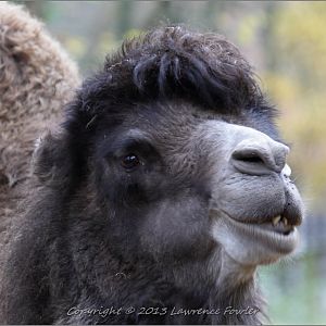 Saturday 23rd October 2013