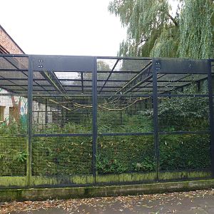 Pickering Park aviaries, November 2013.