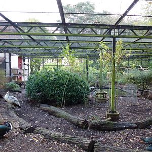 Pickering Park aviaries, November 2013.