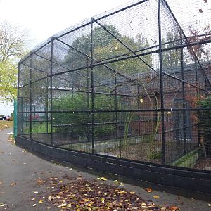 West park aviaries, November 2013.