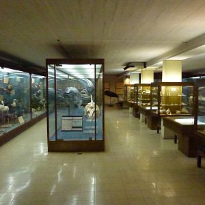 Museum, November 2013.