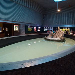 Turtle pool, November 2013.