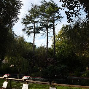 Squirrel monkey island, November 2013.