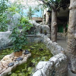 Inside the reptile house, November 2013.