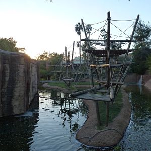 Orangutan/gibbon enclosure, November 2013.