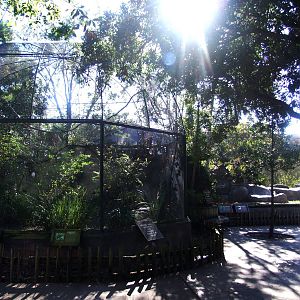 African Exhibits at Jacksonville, 10/10/13