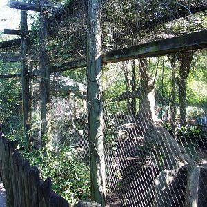 Leopard Enclosure at Jacksonville, 10/10/13