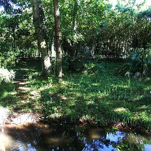 Crane Paddock at Jacksonville, 10/10/13