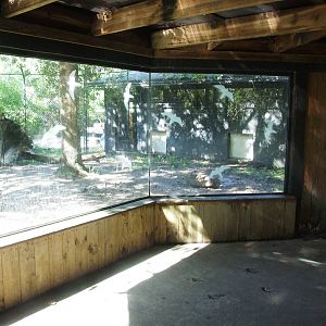 Bear Viewing at Jacksonville, 10/10/13