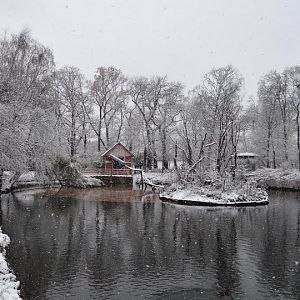 Winter in the zoo