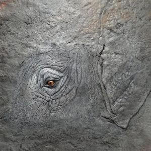 Motive on walls in new toilets