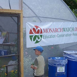 Powell Gardens Festival of Butterflies - Kingsville, Missouri