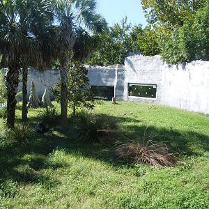 Gorilla Enclosure at Jacksonville, 10/10/13