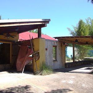Komodo Dragon Enclosure at Jacksonville, 10/10/13