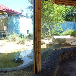 Komodo Dragon Enclosure at Jacksonville, 10/10/13